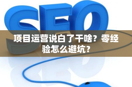 项目运营说白了干啥？零经验怎么避坑？